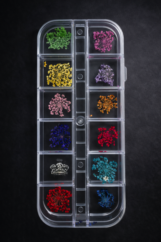 Queen - Dried Flowers 01