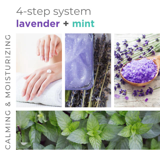 BCL Spa - Lavender + Mint - Sugar Scrub