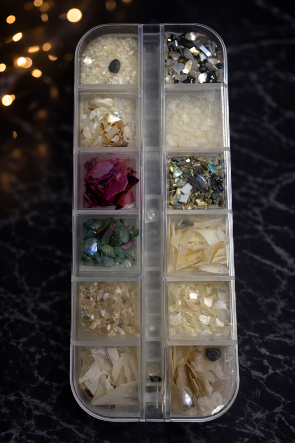 Queen - Crushed Shells- Sea Shells - #69