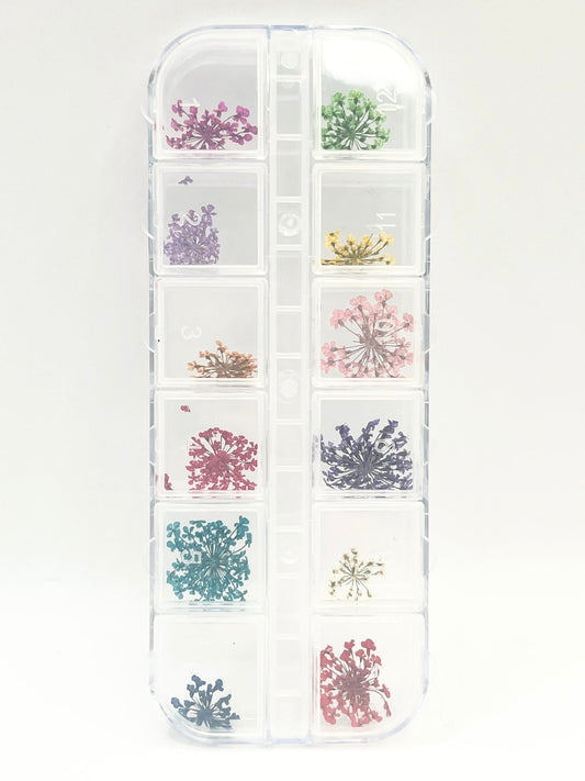 Queen - Dried Flowers 01