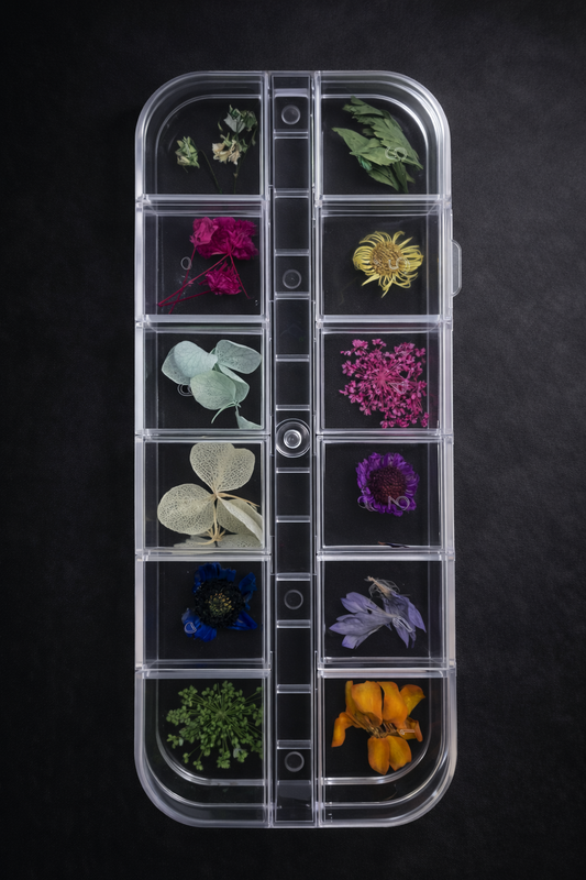 Queen - Dried Flowers 04