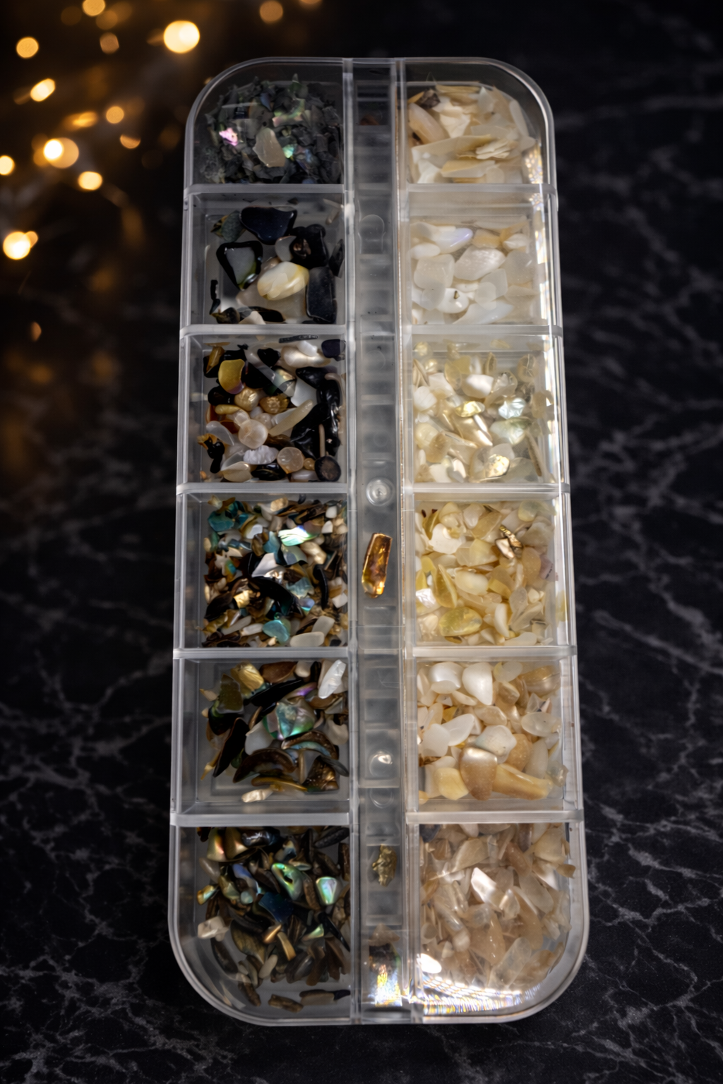 Queen - Sea shells - Crush Stones- #65