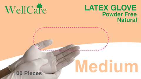 WellCare Latex Gloves - Medium