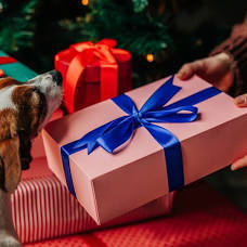 Gift-giving -Christmas - Birthdays and More