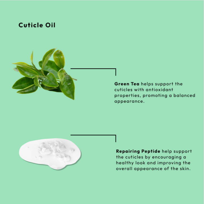 BCL Spa - Nail & Cuticle Oil - Green Tea + Repairing Peptide 1oz