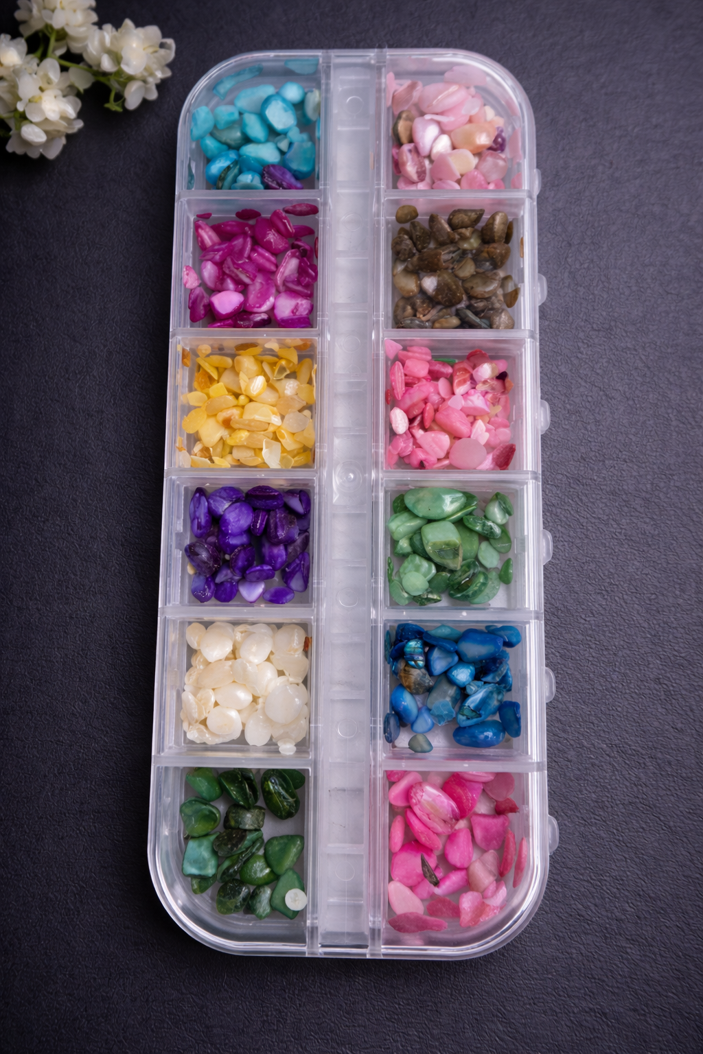 Queen -Sea Shells - Sea Rocks  - #44