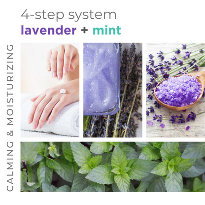 BCL Spa - Lavender + Mint - Sugar Scrub