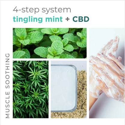 BCL Spa - Tingling Mint - Sugar Scrub