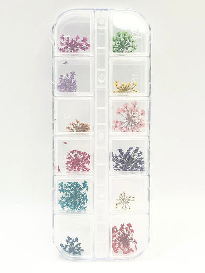 Queen - Dried Flowers 01