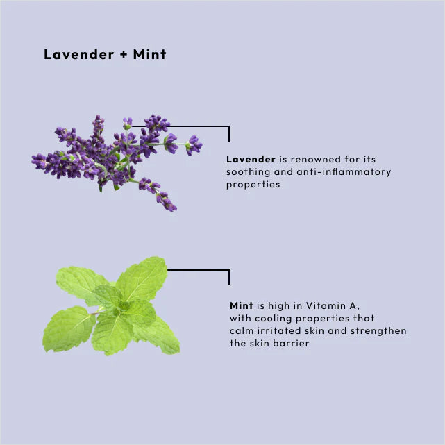 BCL Spa - Lavender + Mint - Sugar Scrub