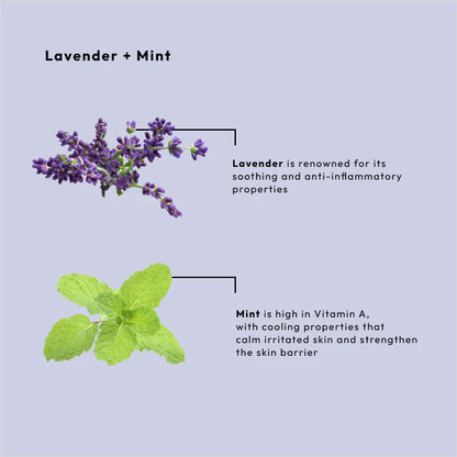 BCL Spa - Lavender + Mint - Sugar Scrub