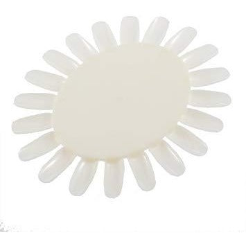 Polish Display - Wheel