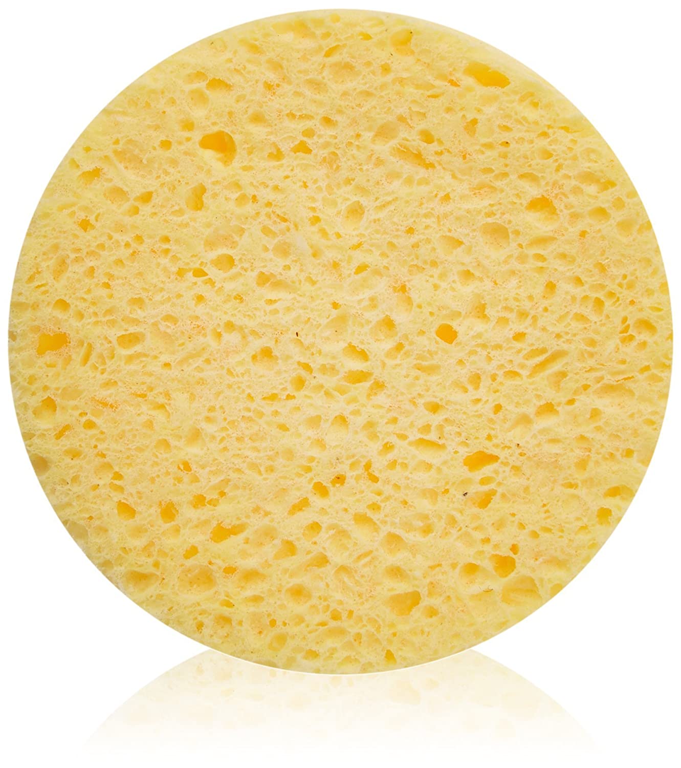 Fanta Sea - Cleansing Sponges (25pc)
