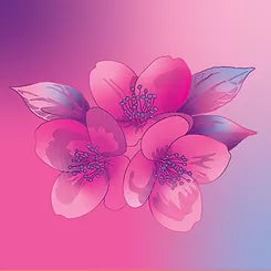 Emit - Hand & Body Lotion - Jasmine 800ml (27 fl oz)