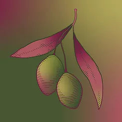 Emit - Hand & Body Lotion - Olives 800ml (27 fl oz)