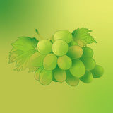 Emit - Hand & Body Lotion - Green Grape 800ml (27 fl oz)