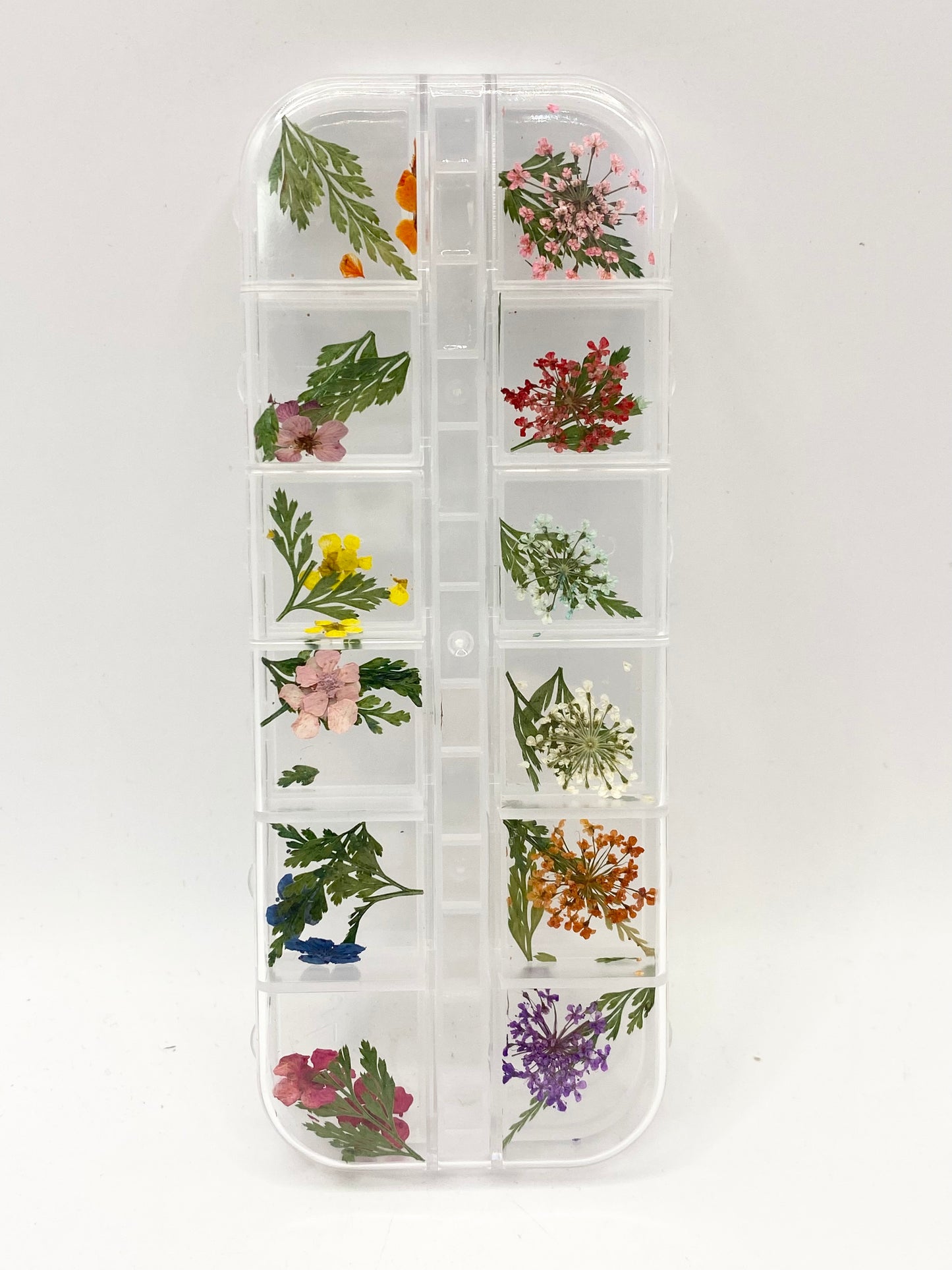 Queen - Dried Flowers 03