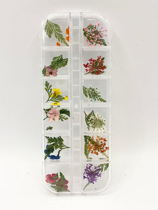 Queen - Dried Flowers 03