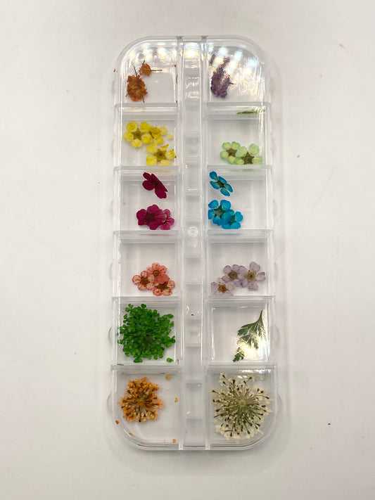 Queen - Dried Flowers 02