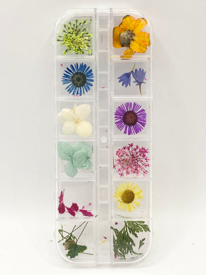 Queen - Dried Flowers 04