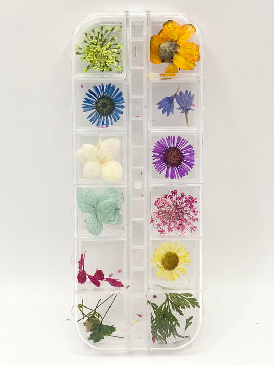 Queen - Dried Flowers 04