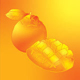 Emit - Hand & Body Lotion - Tropical Citrus 800ml (27 fl oz)